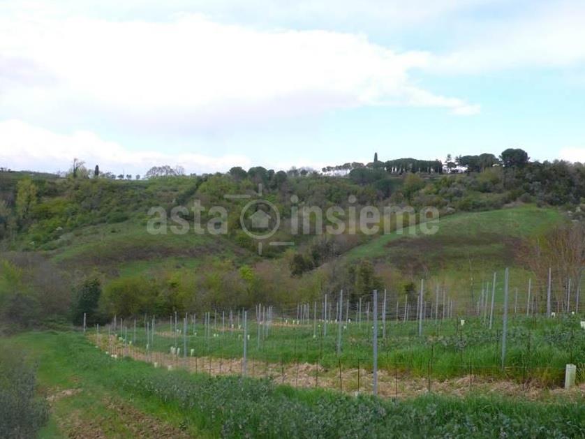 Terreno Agricolo via Poggio Pini snc EMPOLI di 98870,00 Mq.